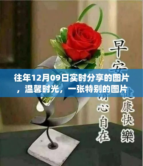 溫馨時光背后的故事，特別圖片分享與故事揭秘