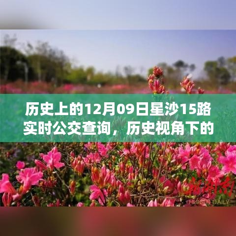歷史視角下的星沙公交發(fā)展，星沙公交查詢系統(tǒng)深度探討與實(shí)時(shí)公交查詢服務(wù)解析（附，歷史上的星沙公交變遷）