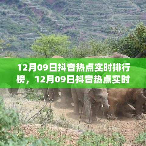 guiguanlvqingtouzu 第3頁(yè)
