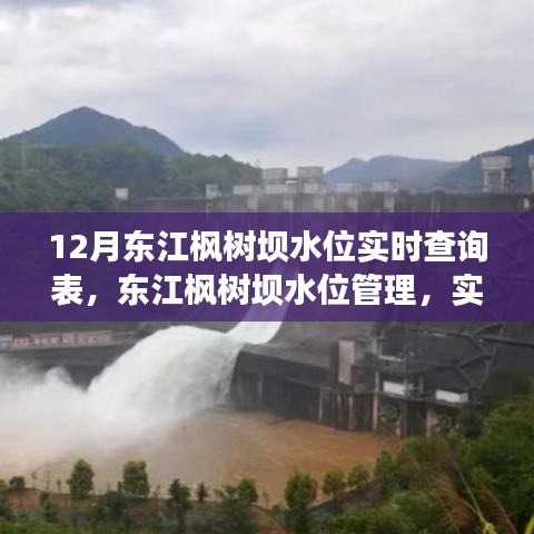 dunxueleigong 第3頁(yè)