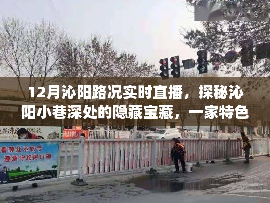 探秘沁陽小巷寶藏，實(shí)時路況直播啟程，帶你領(lǐng)略獨(dú)特風(fēng)情