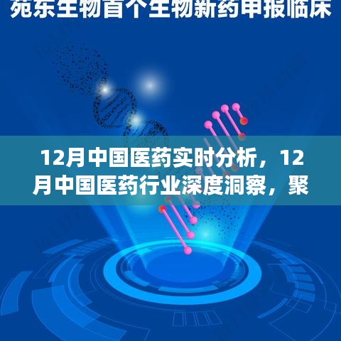 聚焦實時分析，探尋中國醫(yī)藥行業(yè)深度洞察與發(fā)展之路