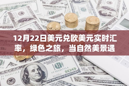 美元與歐元邂逅綠色之旅，匯率波動(dòng)下的自然美景實(shí)時(shí)匯率觀(guān)察