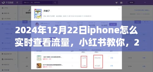 2024年12月22日iPhone實時查看流量教程，小紅書教你如何輕松監(jiān)控流量消耗
