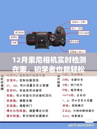 垂頭喪氣 第2頁(yè)