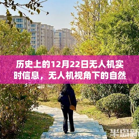 無人機視角下的歷史秘境，自然之旅與寧靜歷史的探索紀實