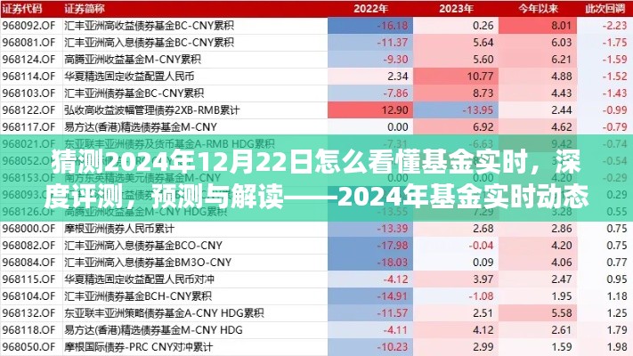 揭秘2024年基金實時動態(tài)洞察系統(tǒng)，深度評測、預測與解讀的未來趨勢