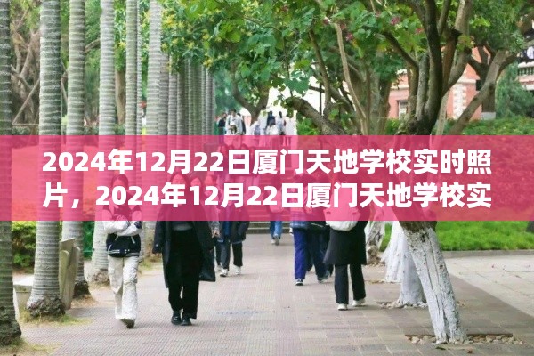 一窺廈門天地學校實時美景，2024年12月22日校園風光紀實