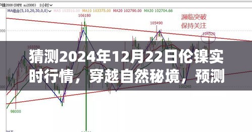 倫鎳行情預(yù)測與心靈之旅，穿越自然秘境，探索2024年倫鎳實(shí)時(shí)行情的奇妙交織