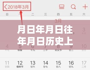 探秘歷史與現(xiàn)實(shí)交織的物流軌跡，實(shí)時(shí)物流查詢方法與特色小店揭秘