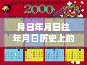 月光下的飛行奇遇，航班實(shí)時(shí)信號(hào)與溫馨的尋友之旅