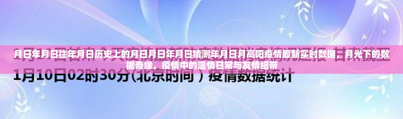 月高陽疫情最新實(shí)時(shí)數(shù)據(jù)與月光下的數(shù)據(jù)奇緣，歷史視角下的溫情日常與友情紐帶