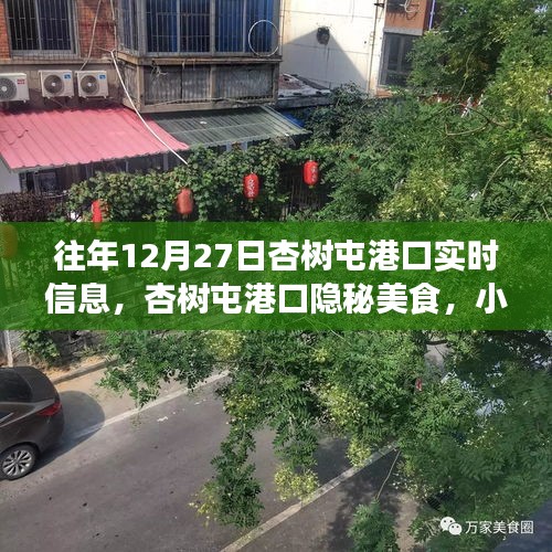 杏樹屯港口，美食秘境與實時信息的探索之旅
