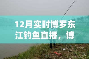 博羅東江畔的釣魚盛宴，12月實時釣魚直播開啟！
