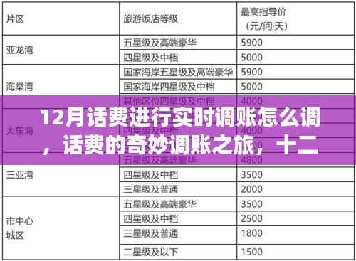 十二月話費(fèi)實(shí)時(shí)調(diào)賬指南，奇妙之旅與溫情時(shí)刻
