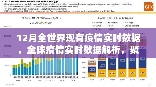 全球疫情實時數(shù)據(jù)解析，聚焦12月疫情動態(tài)與動態(tài)變化