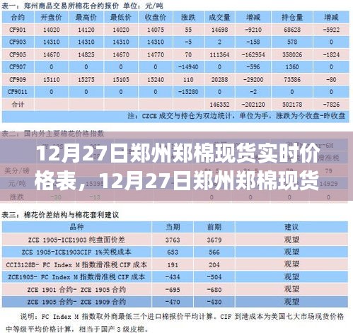 12月27日鄭州鄭棉現(xiàn)貨實(shí)時(shí)價(jià)格表，全面解析與市場洞察