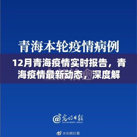 青海疫情深度解析，十二月實(shí)時(shí)報(bào)告與最新動(dòng)態(tài)