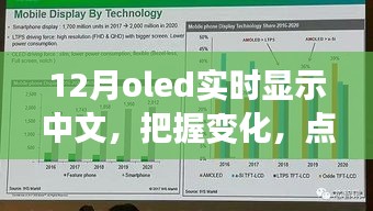 12月OLED中文實(shí)時(shí)顯示，把握變化，點(diǎn)亮未來(lái)——展現(xiàn)你的中文魅力