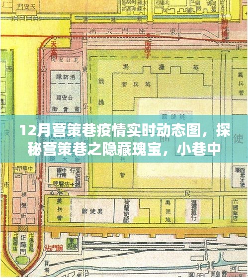 營策巷疫情動態(tài)與隱藏瑰寶探索，小巷特色小店實(shí)時更新數(shù)據(jù)報(bào)告