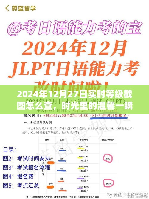 2024年12月27日等級截圖揭秘，時光溫馨一瞬，友誼見證時刻