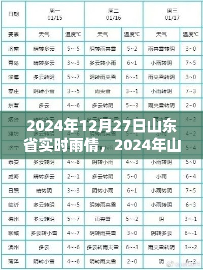 山東省實時雨情分析報告，最新雨情動態(tài)（2024年12月27日）