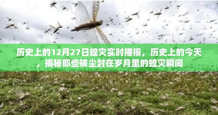 歷史上的蝗災(zāi)瞬間，揭秘塵封歲月中的12月27日蝗災(zāi)實(shí)時(shí)播報(bào)