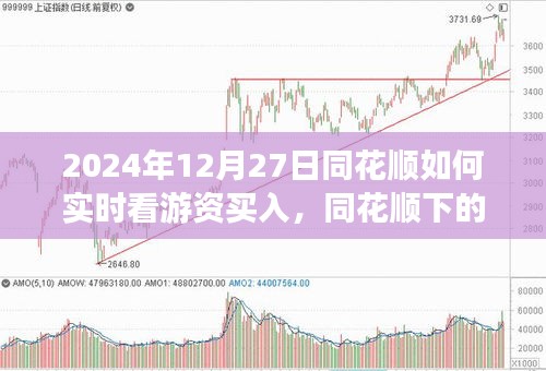 同花順下的游資買入實時觀察，游資背后的故事與股市之旅的啟示