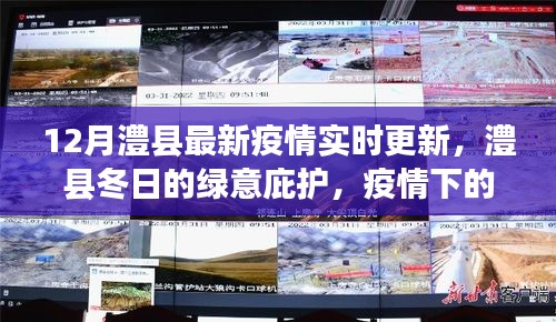 澧縣疫情實時更新，冬日的綠意庇護與疫情下的自然探索