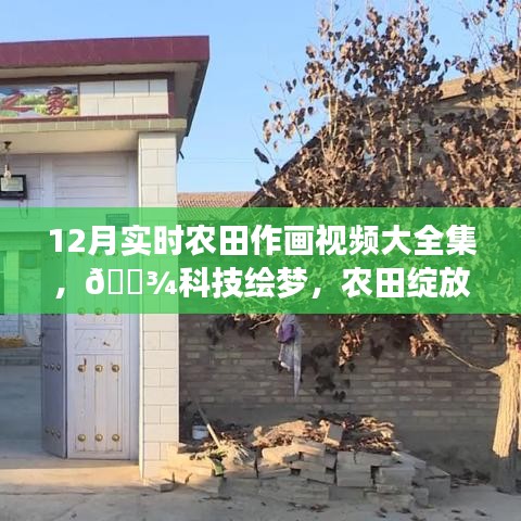12月實時農(nóng)田作畫視頻驚艷呈現(xiàn)，科技繪夢，農(nóng)田綻放新篇章！