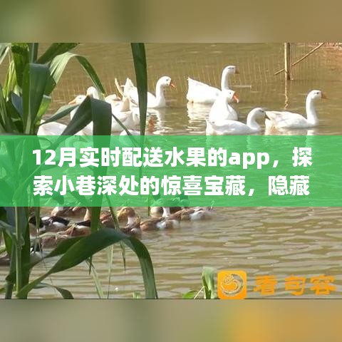 探索小巷深處的鮮果寶藏，12月實時配送水果APP驚喜上線