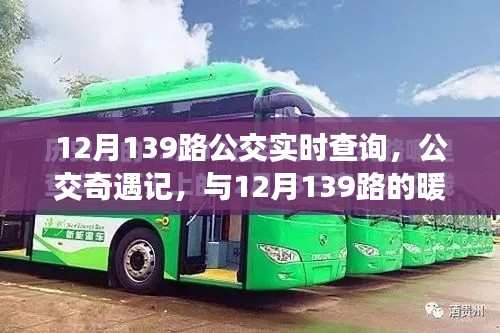 12月139路公交車，暖心之旅的實時奇遇記