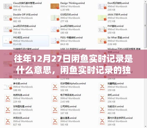 歷年十二月二十七日閑魚實(shí)時記錄的深度剖析與獨(dú)特印記探索