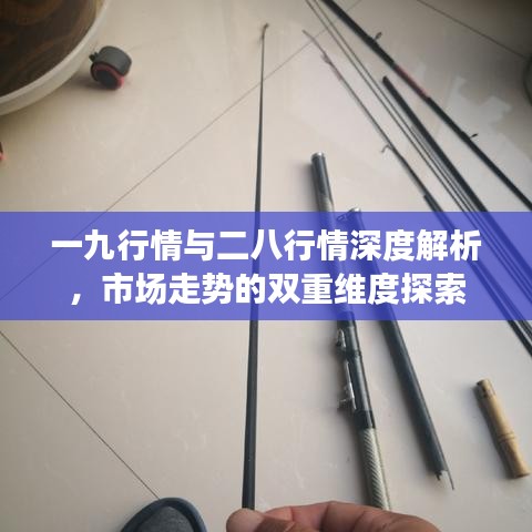 一九行情與二八行情深度解析，市場走勢的雙重維度探索