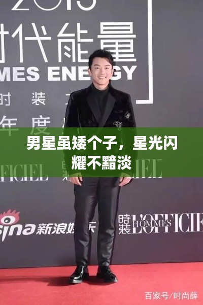 男星雖矮個子，星光閃耀不黯淡