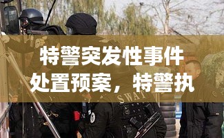 特警突發(fā)性事件處置預(yù)案，特警執(zhí)勤突發(fā)事件視頻 