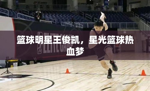 籃球明星王俊凱，星光籃球熱血夢(mèng)