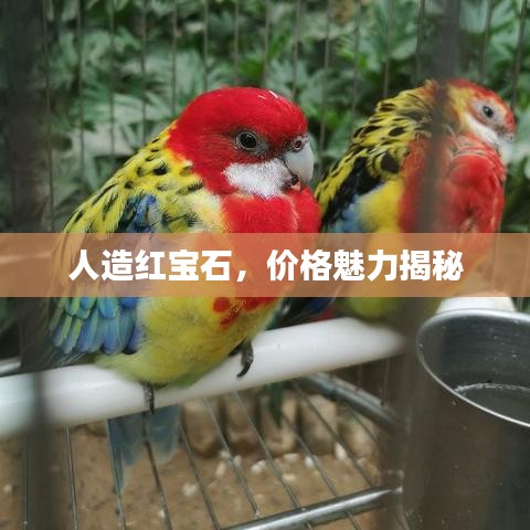 人造紅寶石，價格魅力揭秘