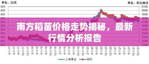 南方稻苗價格走勢揭秘，最新行情分析報告