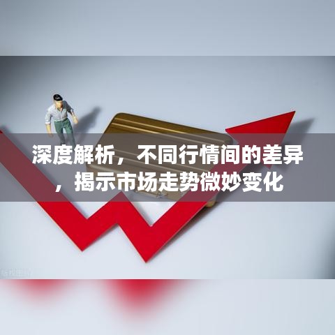 深度解析，不同行情間的差異，揭示市場走勢微妙變化