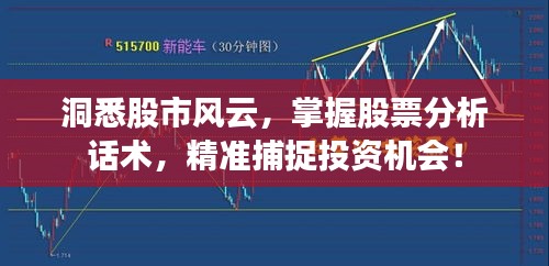 洞悉股市風云，掌握股票分析話術，精準捕捉投資機會！