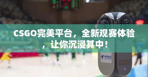 CSGO完美平臺(tái)，全新觀賽體驗(yàn)，讓你沉浸其中！