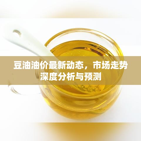 豆油油價(jià)最新動(dòng)態(tài)，市場(chǎng)走勢(shì)深度分析與預(yù)測(cè)