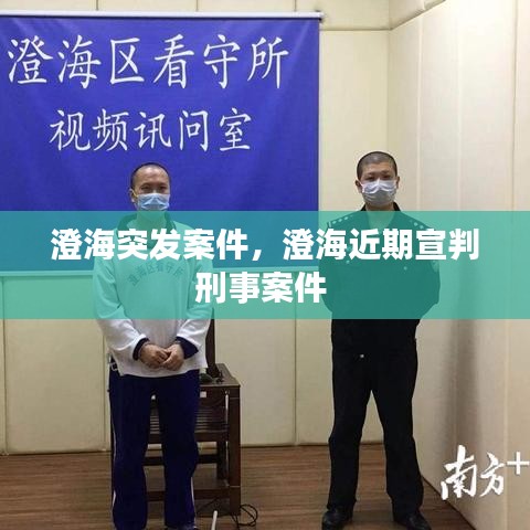 衣不兼彩 第2頁(yè)