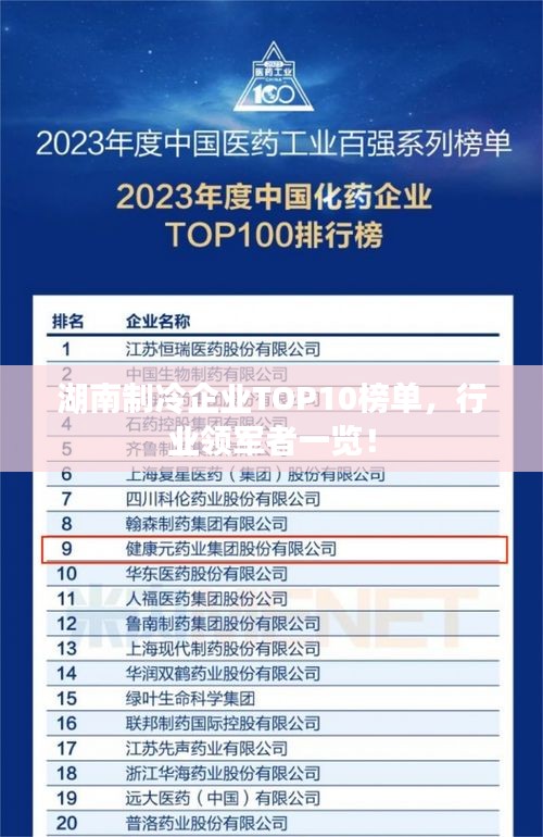 湖南制冷企業(yè)TOP10榜單，行業(yè)領(lǐng)軍者一覽！