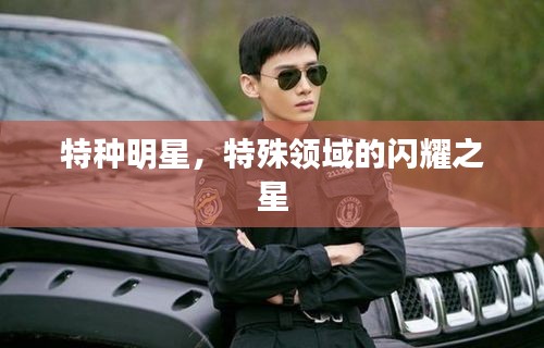 特種明星，特殊領域的閃耀之星