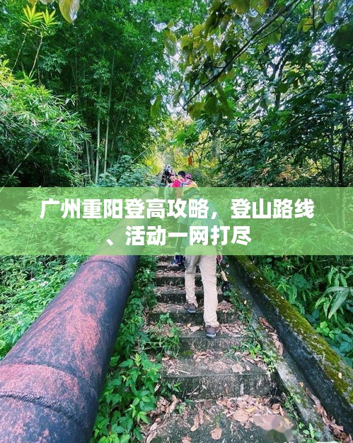 廣州重陽登高攻略，登山路線、活動一網(wǎng)打盡