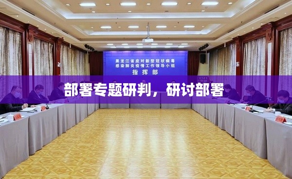 部署專題研判，研討部署 