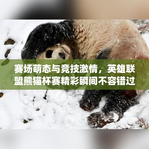 賽場(chǎng)萌態(tài)與競(jìng)技激情，英雄聯(lián)盟熊貓杯賽精彩瞬間不容錯(cuò)過！