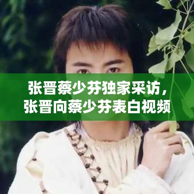 張晉蔡少芬獨家采訪，張晉向蔡少芬表白視頻 